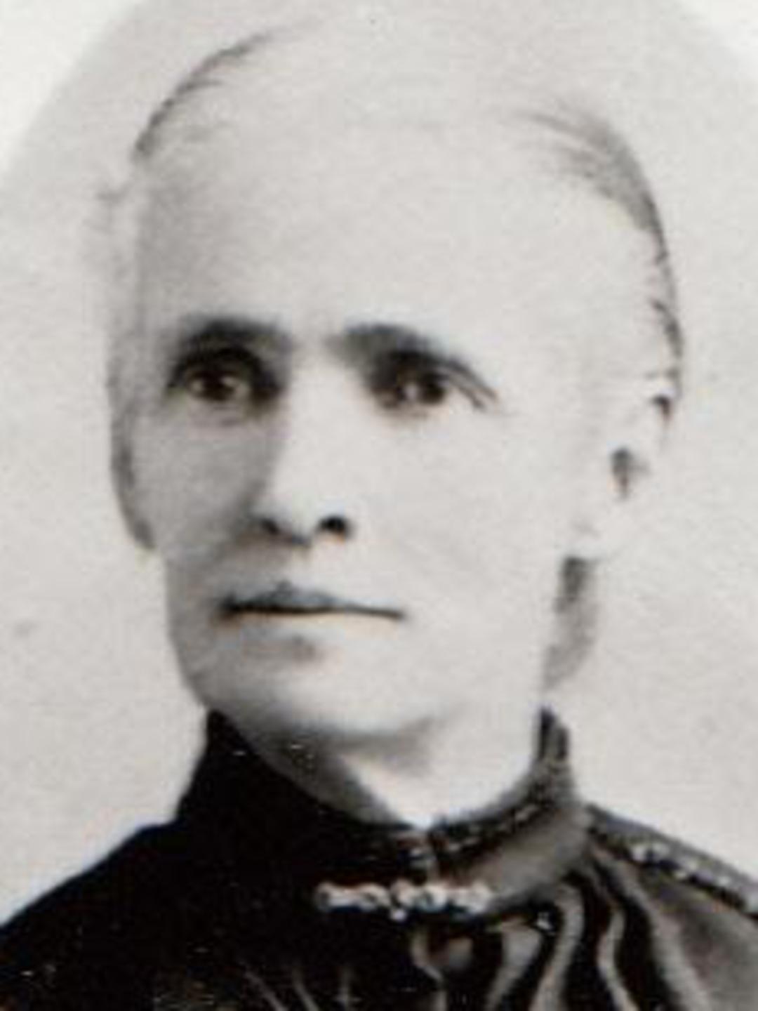 Polly Emeline Blodgett (1832 - 1911) Profile